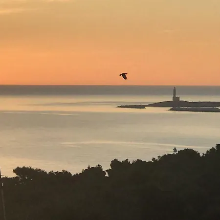 Carla Отель типа 