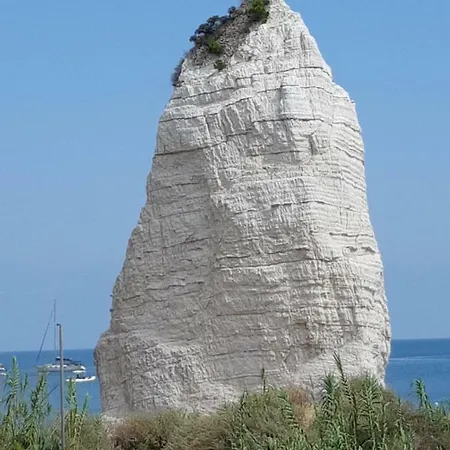 Carla Couette-café 3*