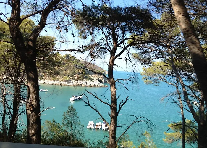 Carla Alojamento de Acomodação e Pequeno-almoço 3*