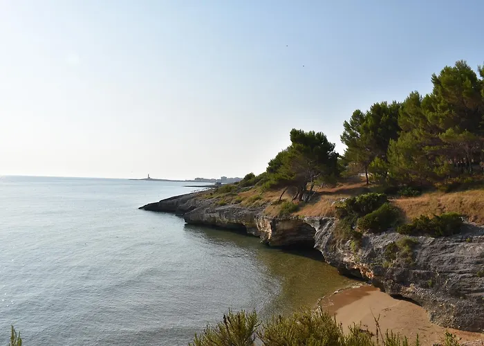 Alojamento de Acomodação e Pequeno-almoço Carla 3*