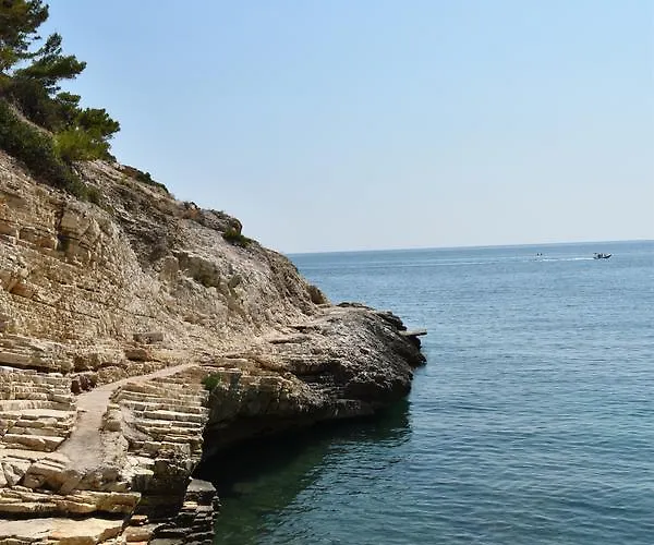 Alojamento de Acomodação e Pequeno-almoço Carla Vieste