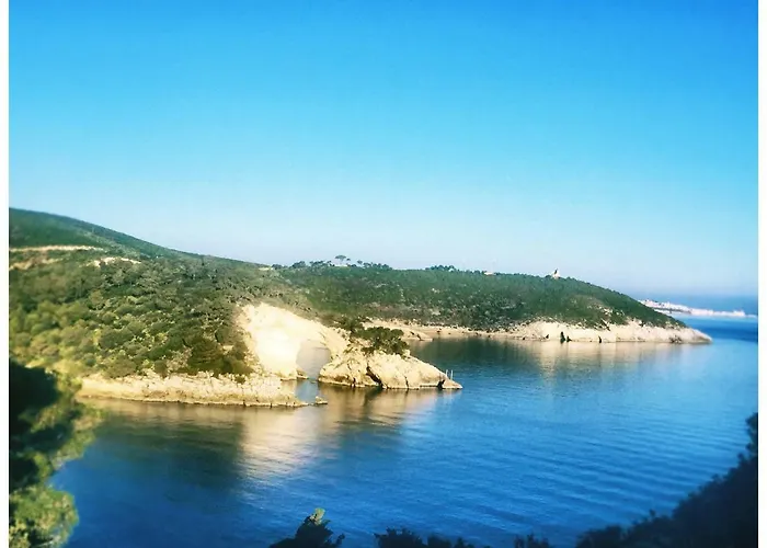 Carla Alojamento de Acomodação e Pequeno-almoço 3*