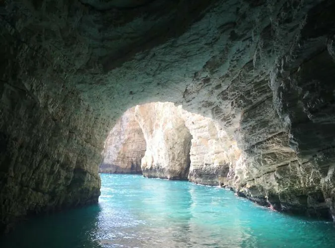 Carla Alojamento de Acomodação e Pequeno-almoço 3*