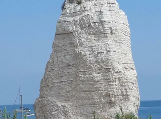 Carla Alojamento de Acomodação e Pequeno-almoço 3*